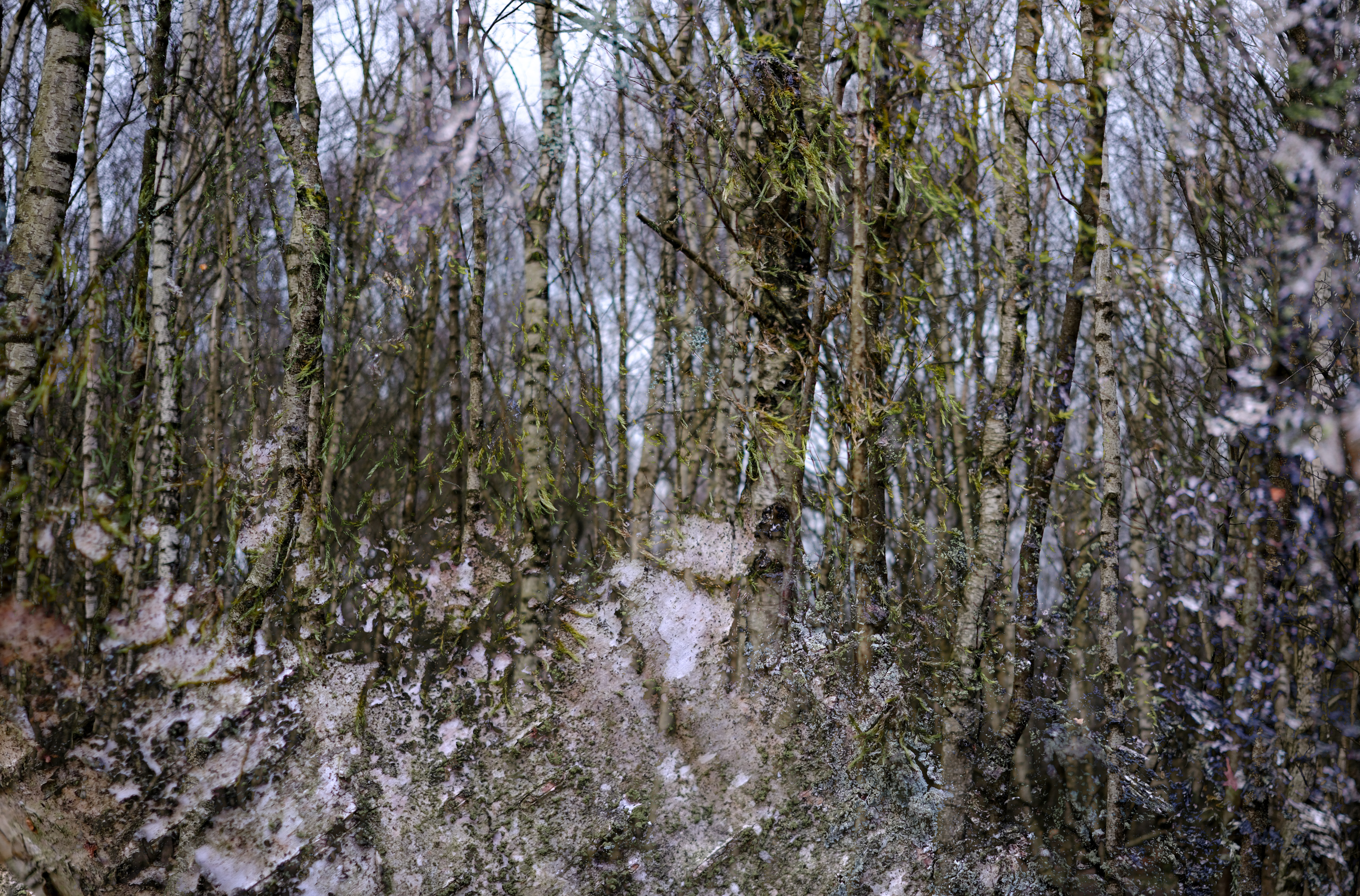 2024 03 09  xt 5   9182